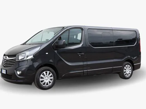 Pulmino a 9 posti -Renault Trafic